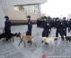 总决赛战前风云：警犬特警齐上阵，安保防线铸就钢铁赛场